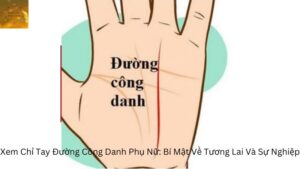 Xem Chỉ Tay Đường Công Danh Phụ Nữ: Bí Mật Về Tương Lai Và Sự Nghiệp